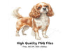 Cavalier King Charles Spaniel Clipart Bundle