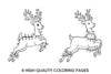 Flying Reindeer Christmas Lights Coloring Books