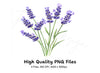 Lavender Flower Clipart Bundle