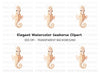 Front View Seahorse Clipart Bundle