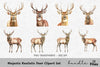Majestic Realistic Deer Clipart Bundle