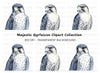 Majestic Falcon Clipart Bundle