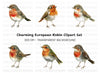 Adorable Robin Bird Clipart Bundle