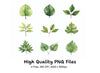 Diverse Green Leaves Clipart Bundle