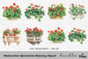 Geraniums Balcony Clipart Bundle