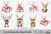 Cute Christmas Deer Clipart Bundle