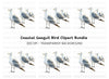 Flock of Seagulls Clipart Bundle