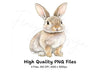 Cute Bunny Clipart Bundle