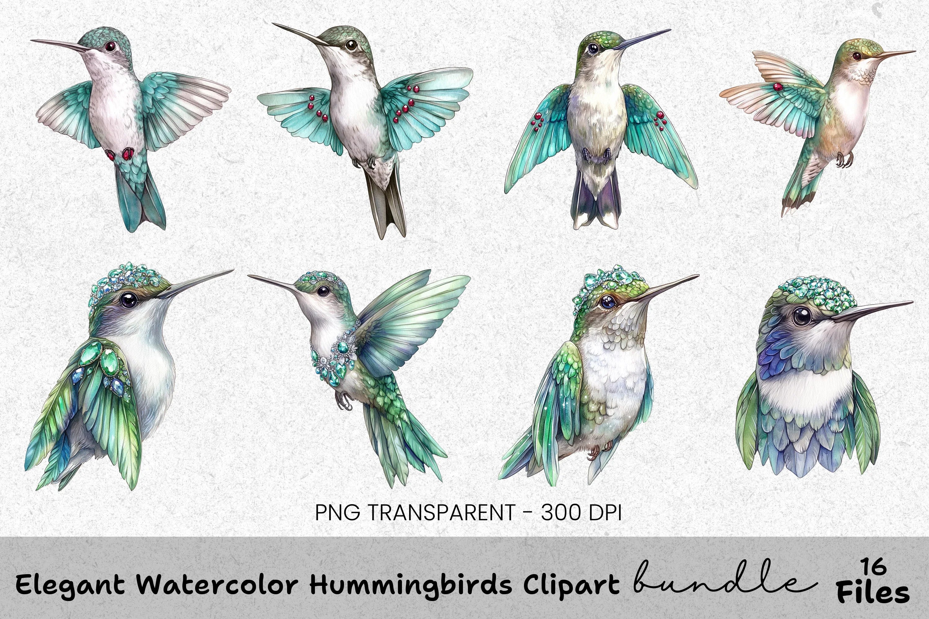 Elegant Hummingbirds Clipart Bundle
