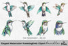 Elegant Hummingbirds Clipart Bundle