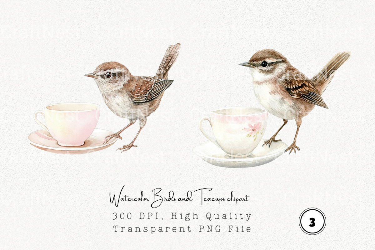 Birds And Teacups Clipart Bundle