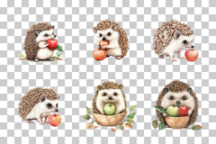 Hedgehog with Apple Forest Theme Clipart Bundle - CraftNest - Digital Crafting and Art