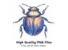 Iridescent Jewel Beetle Clipart Bundle