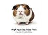 Brown and White Guinea Pig Clipart Bundle