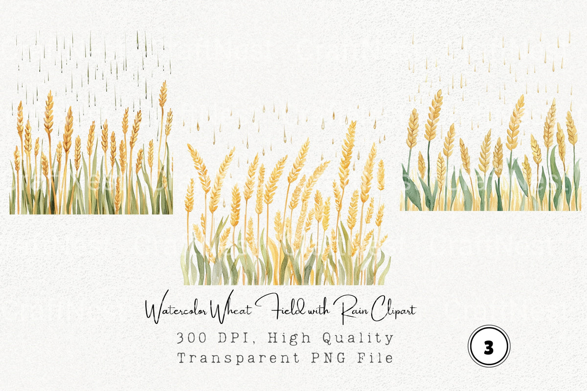 Wheat Field With Rain Clipart Bundle