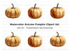 Pumpkins Clipart Bundle
