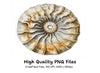 Ammonite Fossil Clipart Bundle