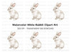 Cute White Bunny Rabbit Clipart Bundle