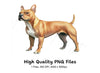 American Staffordshire Terrier Clipart Bundle