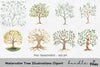 Tree Illustrations Clipart Bundle
