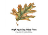 Oak Leaves Clipart Bundle