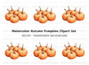 Pumpkin Patch Clipart Bundle
