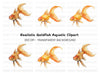 Beautiful Goldfish Clipart Bundle