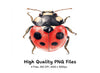 Ladybug Clipart Bundle