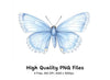 Beautiful Blue Butterfly Clipart Bundle
