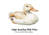 Cute Duck Clipart Bundle