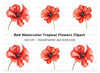 Vibrant Red Geranium Flower Clipart Bundle