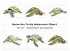 Green Sea Turtle Clipart Bundle