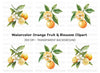 Citrus Fruit Blossom Clipart Bundle