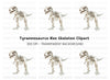 Rex Dinosaur Skeleton Clipart Bundle
