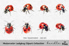 Ladybug Clipart Bundle