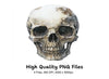 Skull Clipart Bundle
