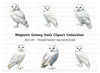 Elegant Snowy Owl Clipart Bundle
