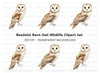 Realistic Barn Owl Clipart Bundle