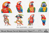 Vibrant Macaw Parrot Clipart Bundle