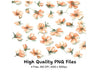 Delicate Peach Floral Clipart Bundle