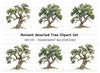 Ancient Oak Tree Clipart Bundle
