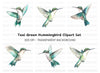 Hummingbird Clipart Bundle