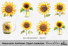 Sunflower Clipart Bundle