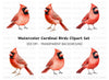 Realistic Red Cardinal Bird Clipart Bundle
