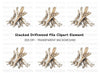 Stacked Driftwood Clipart Bundle
