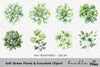 Soft Green Floral Succulent Clipart Bundle