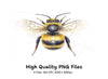 Bumble Bee Clipart Bundle