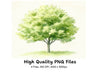 Lush Green Tree Clipart Bundle