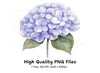 Purple Hydrangea Clipart Bundle