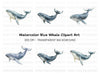 Humpback Whale Clipart Bundle